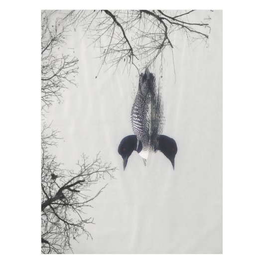Allgemeines Loon-Schwimmen in einem Nordsee im Tischdecke (Vorderseite)