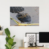 Alli Gator Poster (Heimbüro)