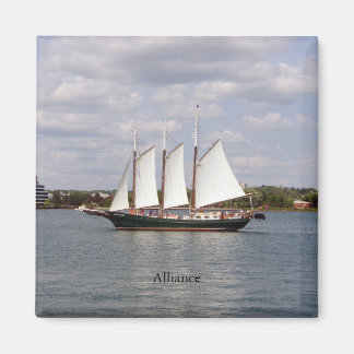 Allianzmagnet Magnet
