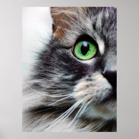 Allie (Halbfass) Poster (Vorne)