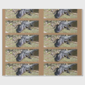 Alligatior an den Everglades Geschenkpapier (Flach)