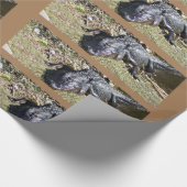 Alligatior an den Everglades Geschenkpapier (Ecke)