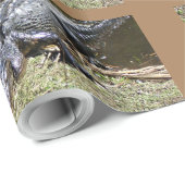 Alligatior an den Everglades Geschenkpapier (Rolleneckpunkt)