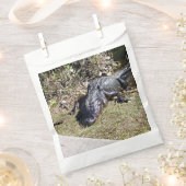Alligatior an der Everglades Gunnar Bag Geschenktütchen (Ausgeschnitten)
