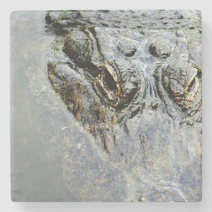 Alligator 2 steinuntersetzer