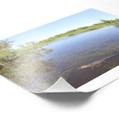 Alligator Alley Fotodruck (Ecke)