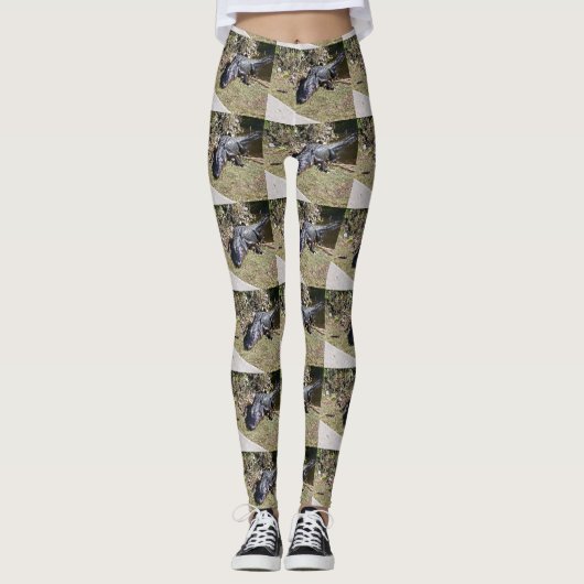 Alligator an den Everglades Leggings (Vorderseite)