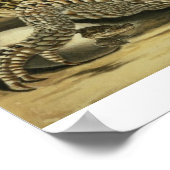 Alligator and Snake, 1730 (coloured engraving) Poster (Ecke)