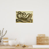 Alligator and Snake, 1730 (coloured engraving) Poster (Küche)