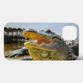 Alligator. Angesicht Case-Mate iPhone Hülle (Rückseite (Horizontal))