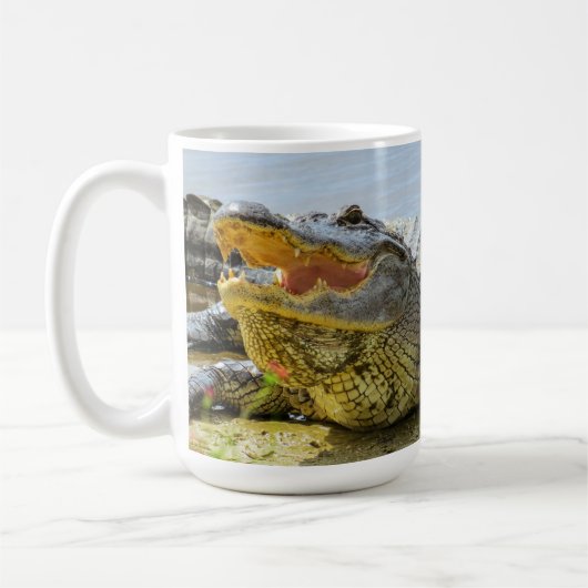 Alligator. Angesicht Kaffeetasse (Links)