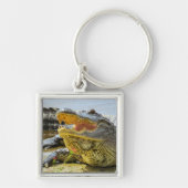 Alligator. Angesicht Schlüsselanhänger (Vorne)