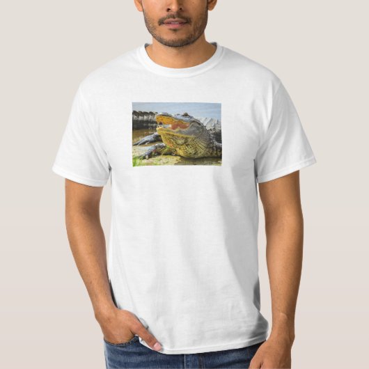 Alligator. Angesicht T-Shirt (Vorderseite)