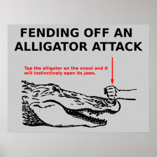 Alligator Attack Poster
