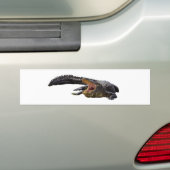 Alligator Autoaufkleber (Auf Auto)
