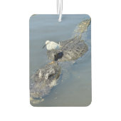 Alligator Autolufterfrischer (Rückseite)