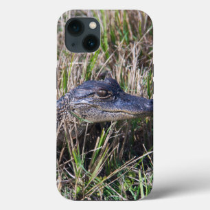 Alligator Baby Animal Foto Florida Niedlich Case-Mate iPhone Hülle