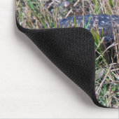 Alligator Baby Animal Niedlich Fotograf Mousepad (Ecke)