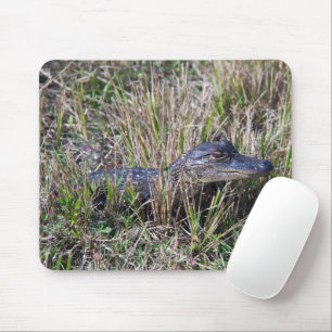 Alligator Baby Animal Niedlich Fotograf Mousepad
