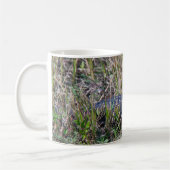 Alligator Baby Grass Florida Kaffeetasse (Links)