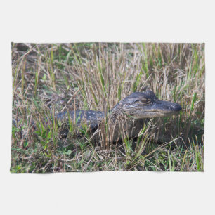 Alligator Baby Niedlich Florida Fotografie Geschirrtuch
