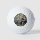 Alligator Baby Niedlich Florida Golfball (Vorderseite)