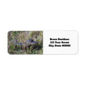 Alligator Baby Niedlich Personalize Rücksendeadres (Vorne)