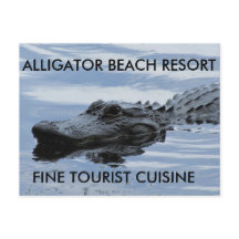 Alligator Beach Resort Postcard
