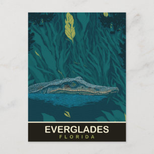 Alligator bei Everglades, Florida, Reisen Postkarte