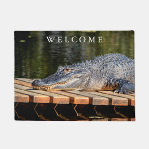 Alligator bei Homosassa entspringt Fußmatte