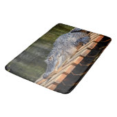 Alligator bei Homosassa Springs Wildlife Staat Par Badematte (Schrägansicht)