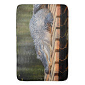 Alligator bei Homosassa Springs Wildlife Staat Par Badematte (Vorderseite Vertikal)