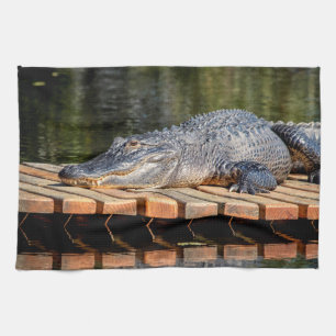Alligator bei Homosassa Springs Wildlife Staat Par Handtuch