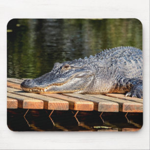 Alligator bei Homosassa Springs Wildlife Staat Par Mousepad