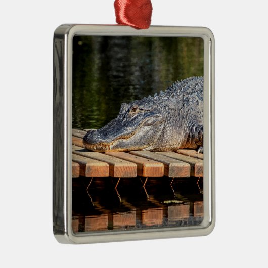 Alligator bei Homosassa Springs Wildlife Staat Par Ornament Aus Metall (Rechts)