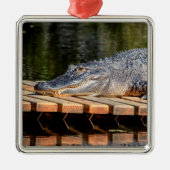 Alligator bei Homosassa Springs Wildlife Staat Par Ornament Aus Metall (Vorne)
