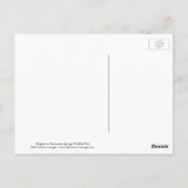 Alligator bei Homosassa Springs Wildlife Staat Par Postkarte (Rückseite)