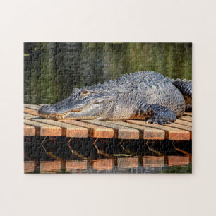 Alligator bei Homosassa Springs Wildlife Staat Par Puzzle