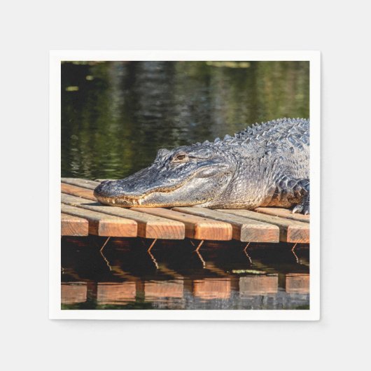Alligator bei Homosassa Springs Wildlife Staat Par Serviette (Vorderseite)