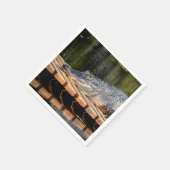 Alligator bei Homosassa Springs Wildlife Staat Par Serviette (Ecke)