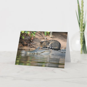 Alligator Cat Nickerchen Karte