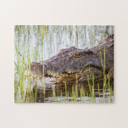 Alligator Crocodiles Wildlife Africa Puzzle (Horizontal)