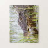 Alligator Crocodiles Wildlife Africa Puzzle (Vertikal)