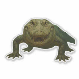 Alligator Cut-out Sticker
