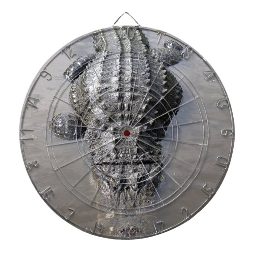 Alligator Dartscheibe (vorne)