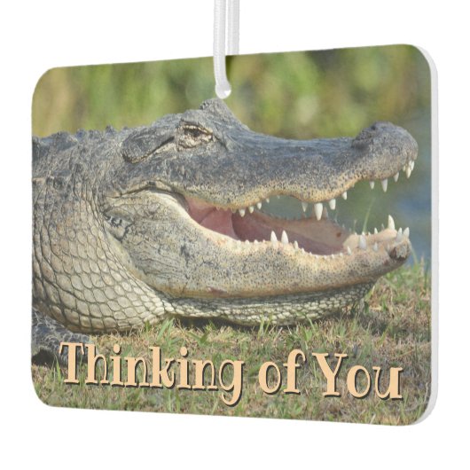 Alligator denkt an dich macht mich lächeln autolufterfrischer (Links)