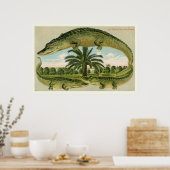 Alligator Druck 1 Poster (Küche)