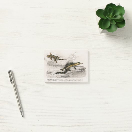 Alligator-Eidechsenzeichnung Post-it Klebezettel (Büro)