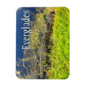 Alligator, Everglades National Park, Florida Magnet (Vertikal)