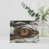 ALLIGATOR EYE NAH-UP POSTKARTE (Stehend Vorderseite)
